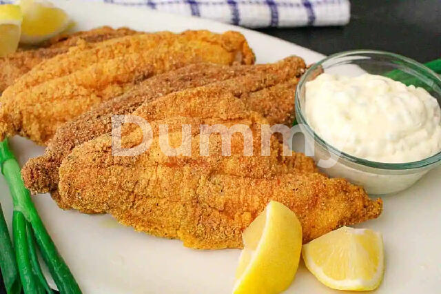 Macondo Colombian Fusion